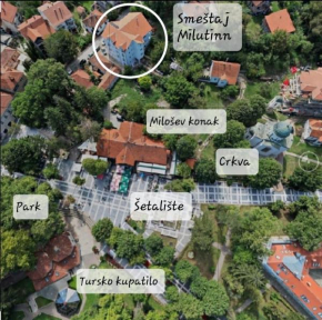 Milutinn-Kruška-Magnolija